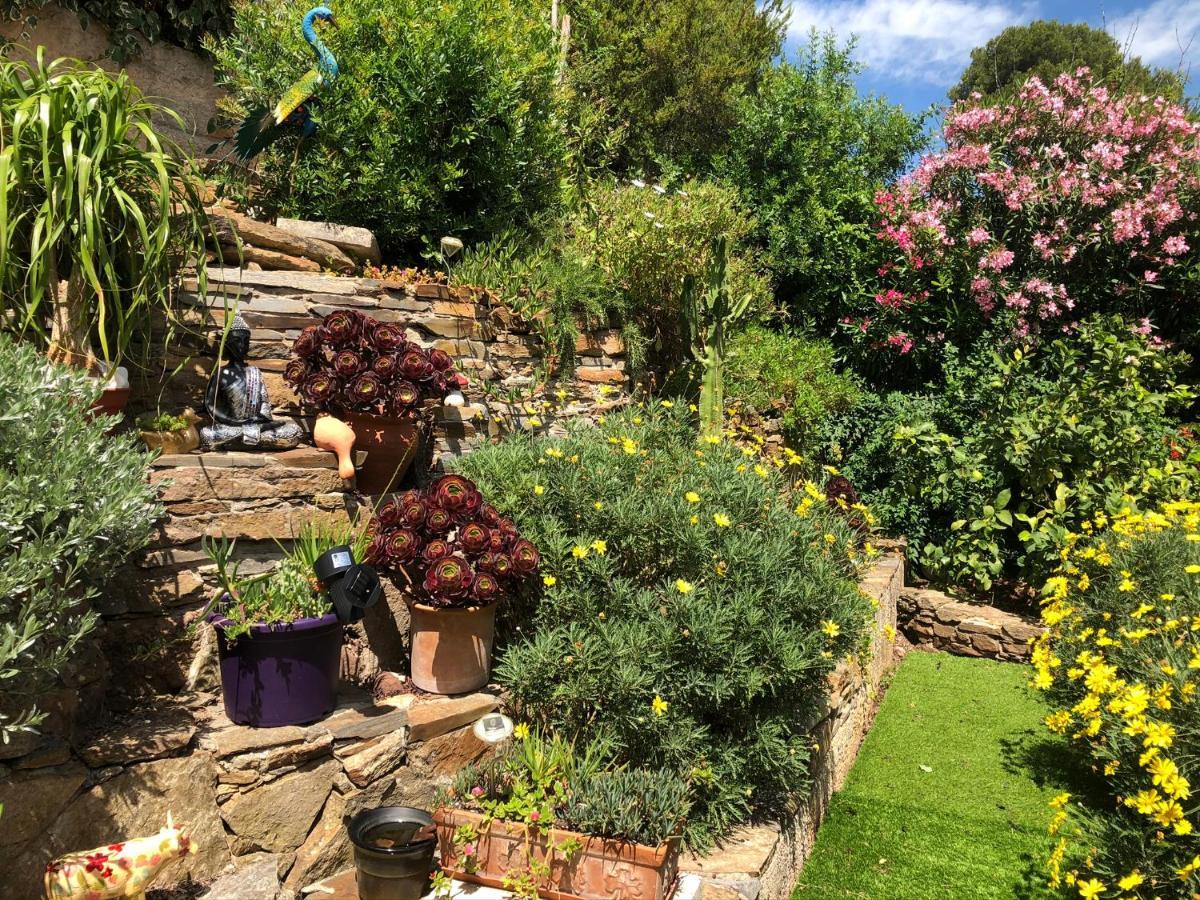 Logement Zen Sur La Colline Aux Mimosas Hyeres Ngoại thất bức ảnh