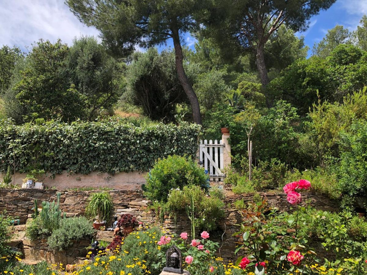 Logement Zen Sur La Colline Aux Mimosas Hyeres Ngoại thất bức ảnh