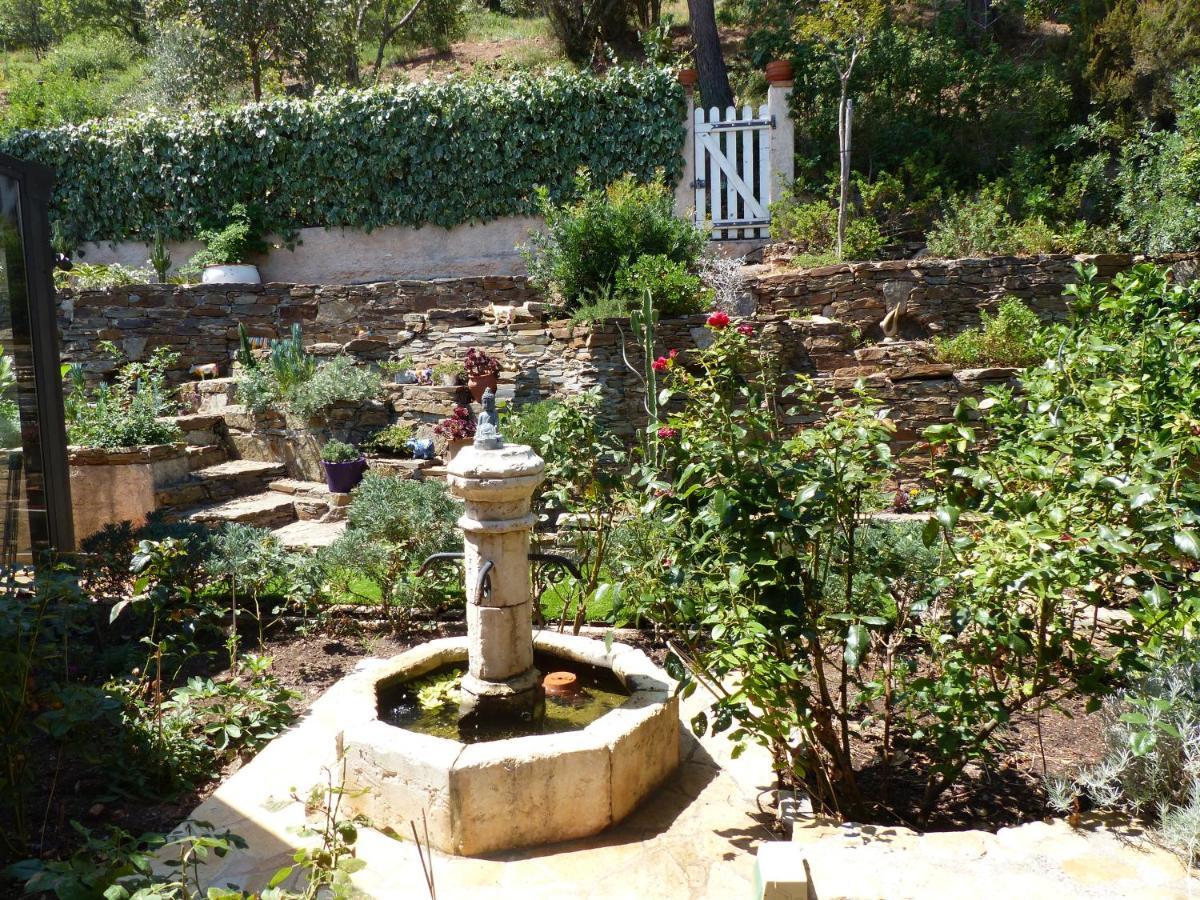Logement Zen Sur La Colline Aux Mimosas Hyeres Ngoại thất bức ảnh